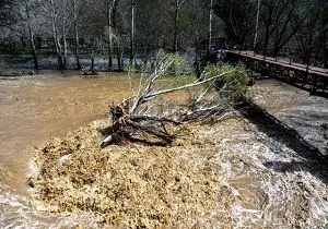 بارش شدید باران، آبگرفتگی معابر و سیلابی شدن رودخانه‌ها در 8 استان