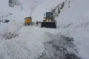 محور کرج - چالوس بازگشایی شد