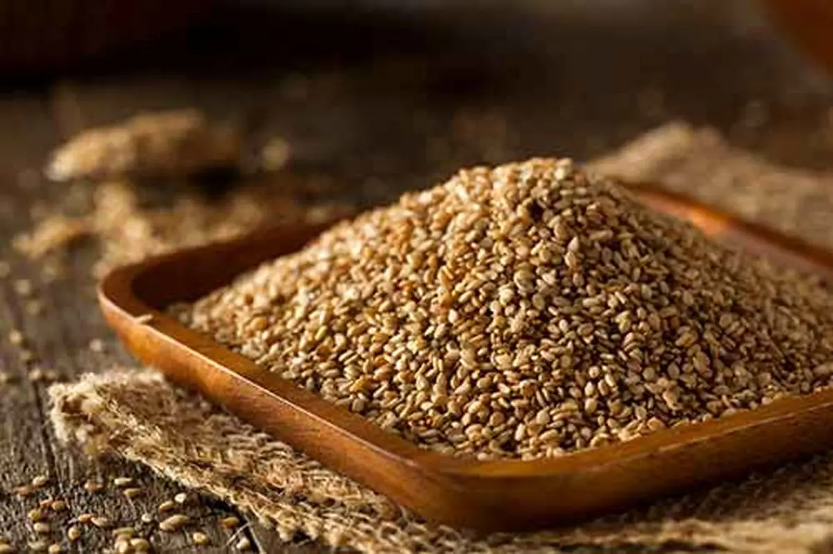 ملکه دانههای روغنی