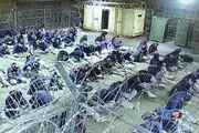 روایتی از شکنجه شهروندان سوری در «گوانتاناموی اسرائیل»