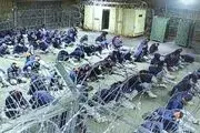 روایتی از شکنجه شهروندان سوری در «گوانتاناموی اسرائیل»