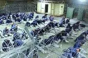 روایتی از شکنجه شهروندان سوری در «گوانتاناموی اسرائیل»