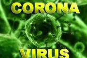 کشف دو مورد ابتلا به ویروس کرونا در پاکستان
