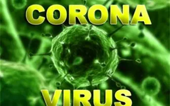 کشف دو مورد ابتلا به ویروس کرونا در پاکستان
