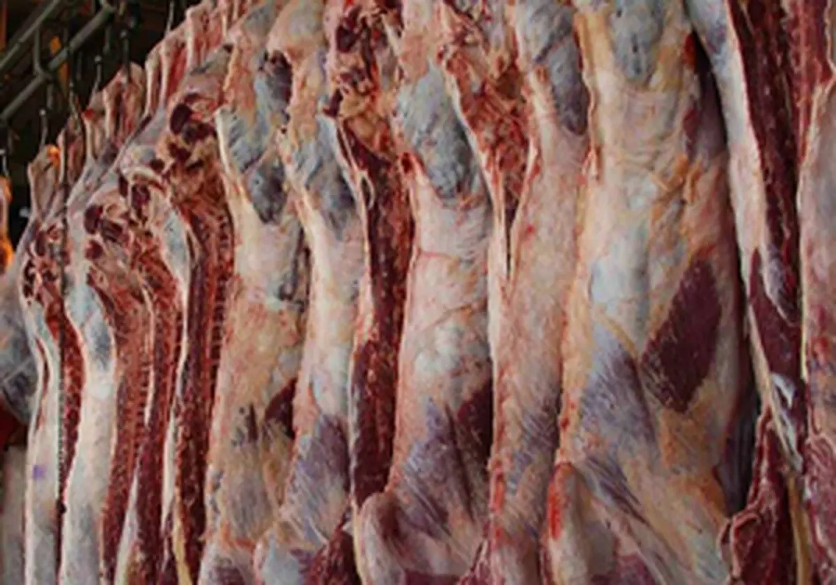 قیمت گوشت کاهش می یابد