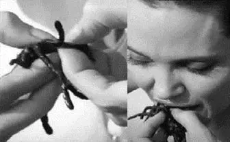 بازیگر زن مشهور در حال خوردن سوسک و عنکبوت/تصاویر