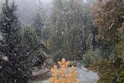 بارش اولین برف پائیزی در تهران/ گزارش تصویری