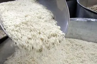 تشدید نظارت بر سلامت برنجهای وارداتی