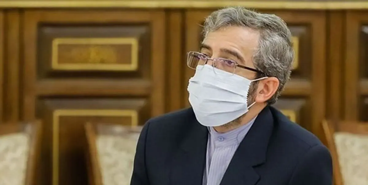 نگاه سیاسی غرب به حقوق بشر فضای تعاملی را دچار اخلال می‌کند/ مذاکره‌ای با گزارشگر ویژه حقوق بشر نداشتیم
