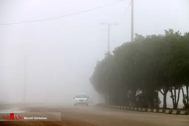 بندر مه آلود