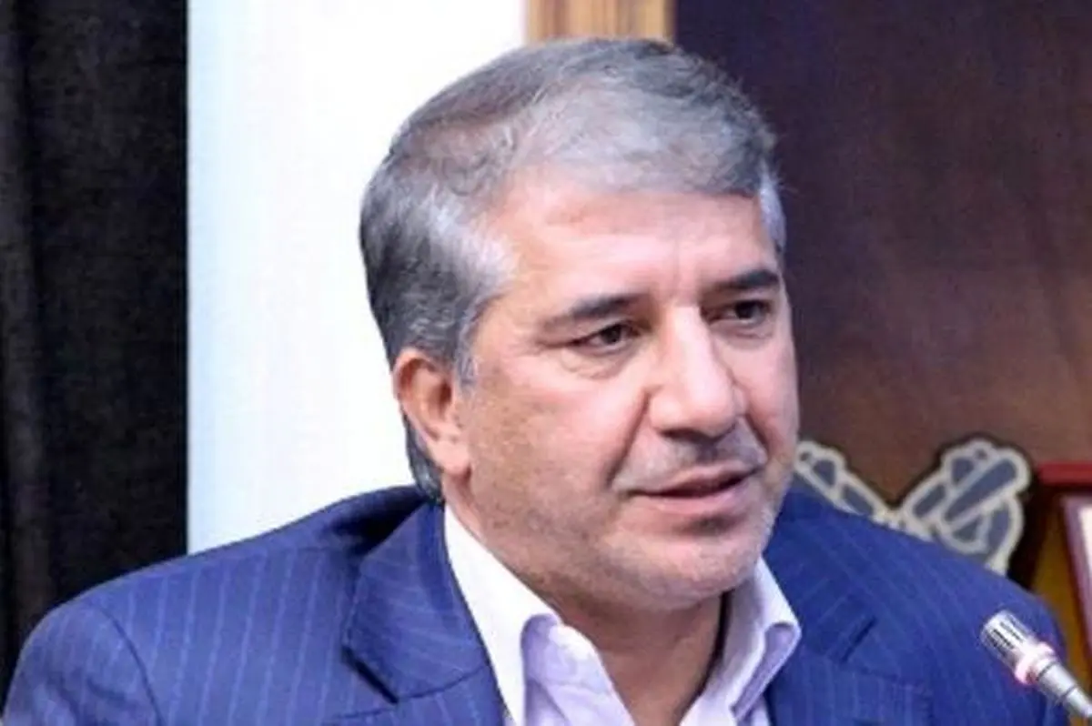 احتمال ارسال پرونده بانک مرکزی درباره موسسات مالی به قوه قضائیه
