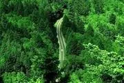 احتمال وقوع حریق در جنگل‌های استان گیلان بسیار زیاد
است
