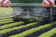جهش بهای کود شیمیایی در اروپا
