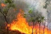 
آخرین وضعیت آتش‌سوزی در جنگل‌های آمل
