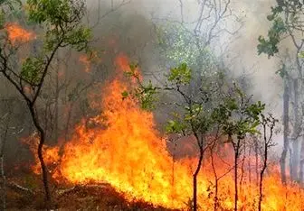 وقوع آتش سوزی در منطقه سبو بزرگ لواسانات