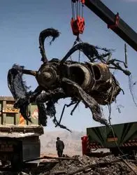 IMG_20260407_182530_071