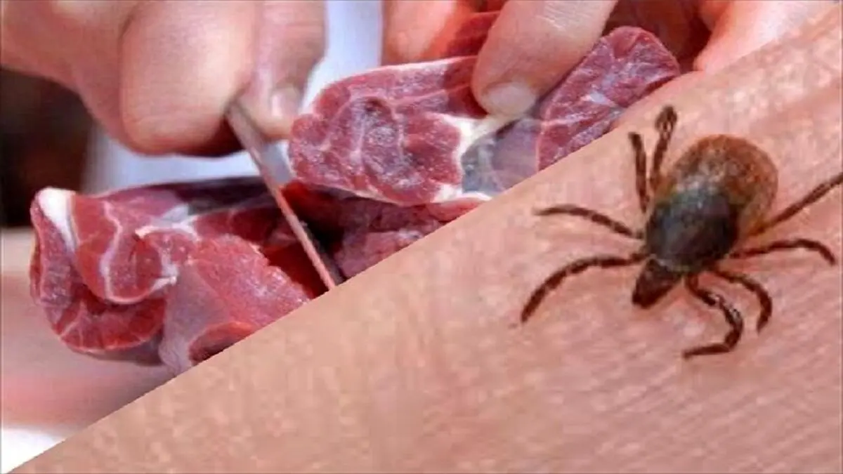 افراد از خوردن جگر خام و نیمپخته اجتناب کنند