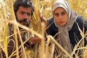 بیوگرافی نازنین کیوانی بازیگر نقش ساره در سریال مینو