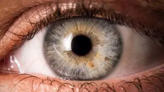شناسایی ویژگی‌های شخصیتی با حرکت چشم‌ها