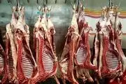 گوشت وارداتی کیفیت گوشت تولید داخل را ندارد
