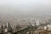 وزش باد در تهران خسارت‌ بار شد+ عکس