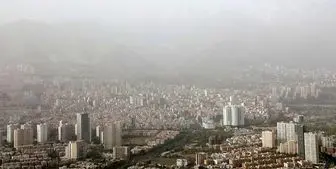 وزش باد در تهران خسارت‌ بار شد+ عکس