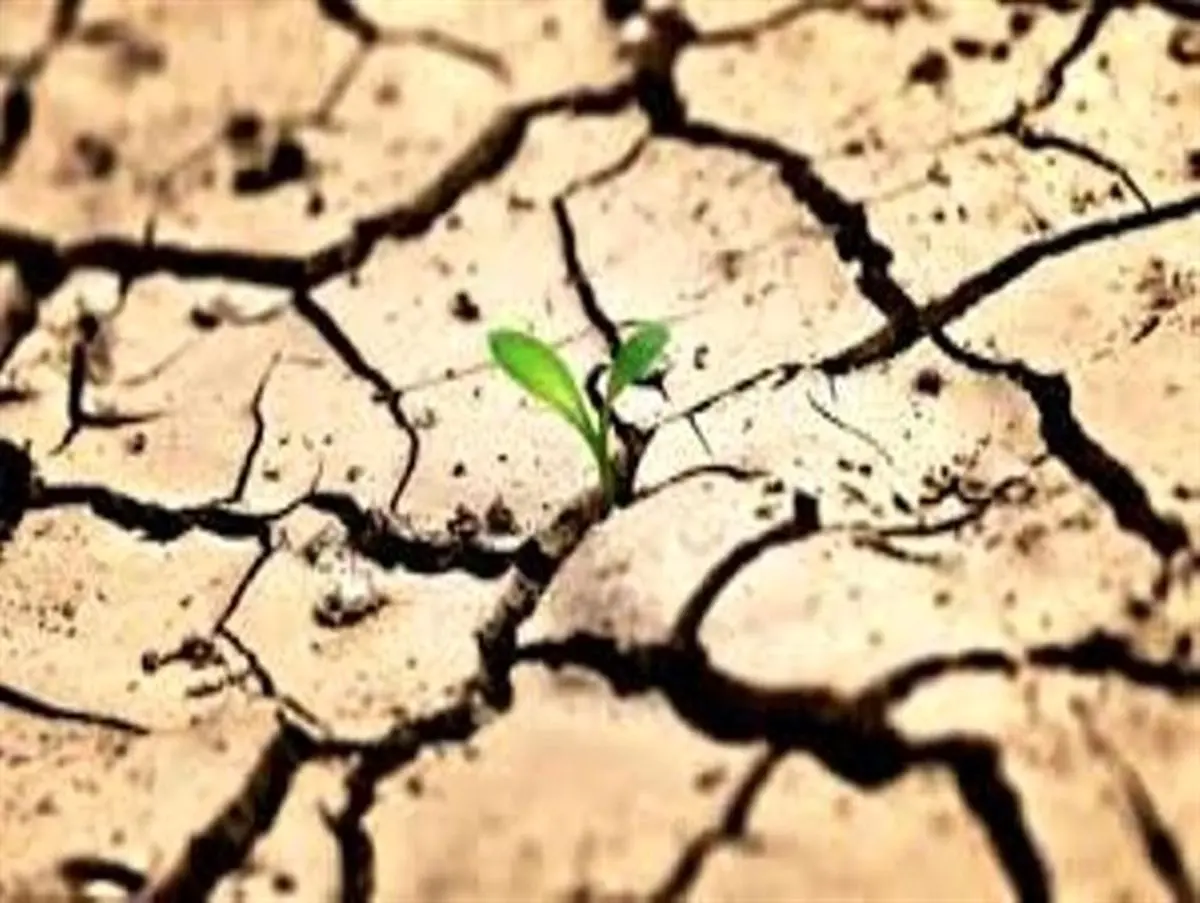 بحران بی آبی زنگ خطری برای هویت هزار ساله میناب