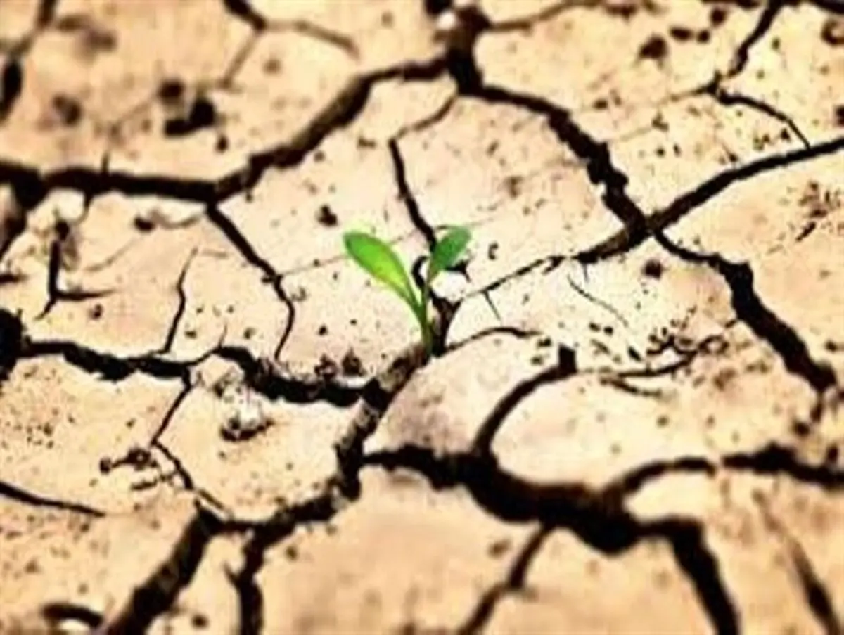 بحران بی آبی زنگ خطری برای هویت هزار ساله میناب