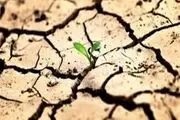 بحران بی آبی زنگ خطری برای هویت هزار ساله میناب