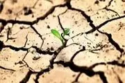 بحران بی آبی زنگ خطری برای هویت هزار ساله میناب