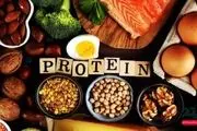 چه مقدار پروتیین نیاز بدنمان را تامین می کند؟