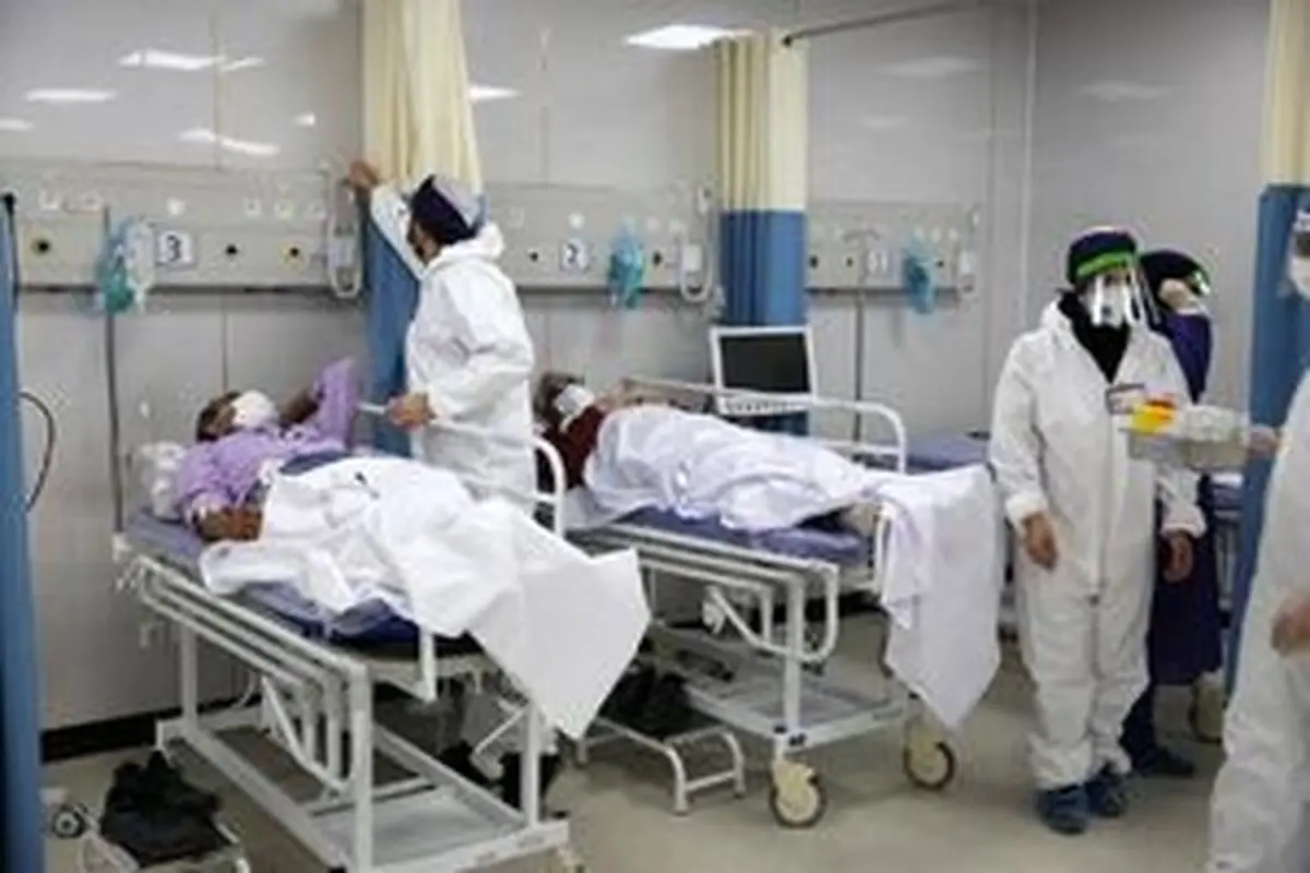 شناسایی ۹۴۲ بیمار جدید کووید ۱۹/ فوت ۱۹ تن دیگر در شبانهروز گذشته