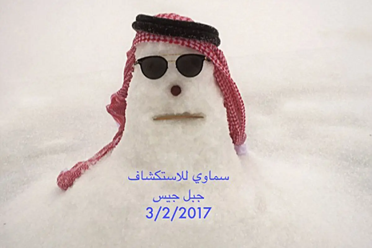 آدم‌برفی دوبی در توییتر طوفان کرد/ عکس