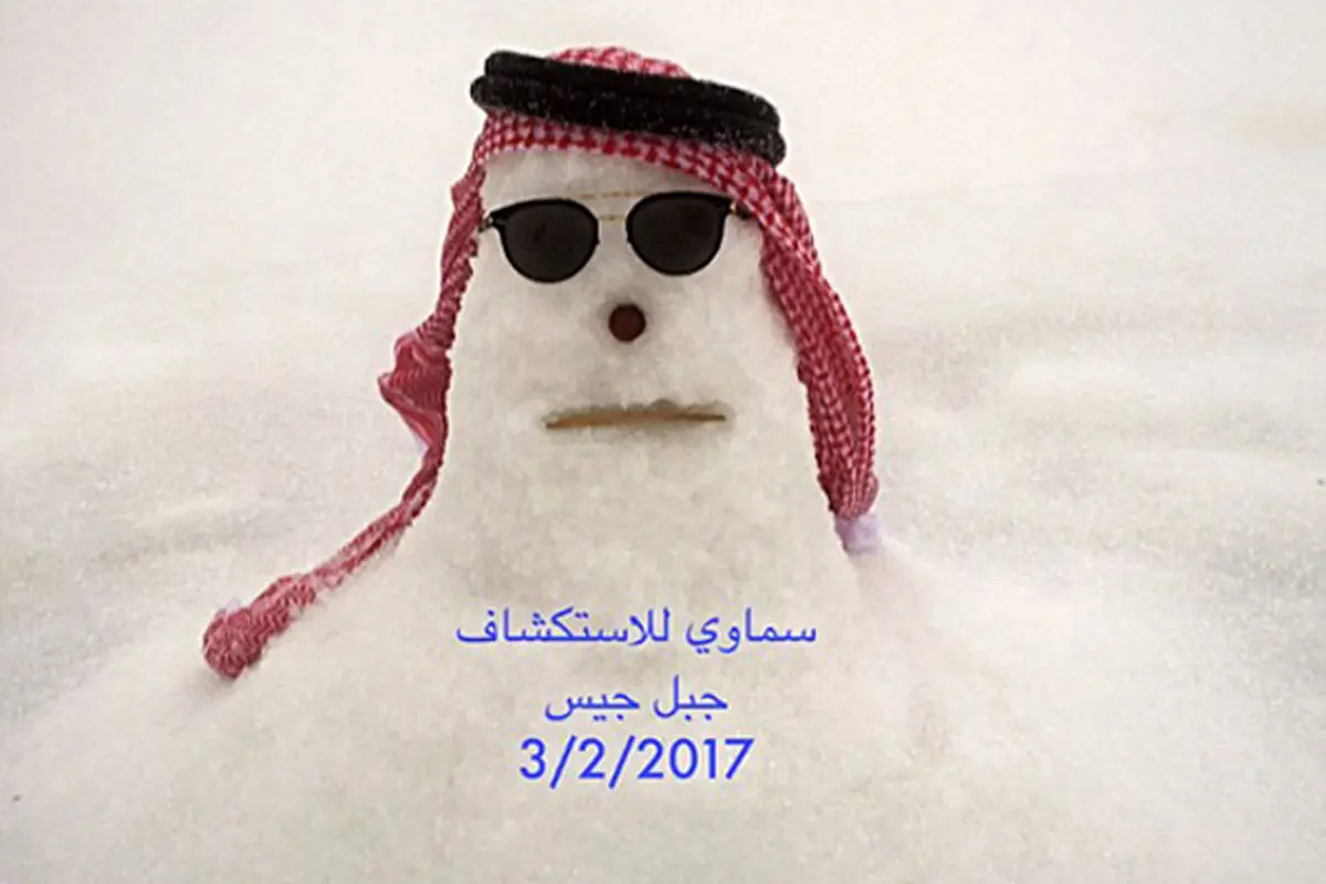 آدمبرفی دوبی در توییتر طوفان کرد/ عکس