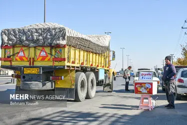 lo6NvUyJ0fjq