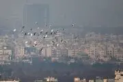 تعطیلی دانشگاه های مشهد پنجشنبه 7 دی 1402؟