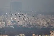 تعطیلی دانشگاه های مشهد پنجشنبه 7 دی 1402؟