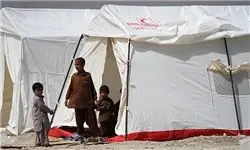 ۶۷۰۰ زلزله‌زده سراوانی در چادر اسکان داده شدند