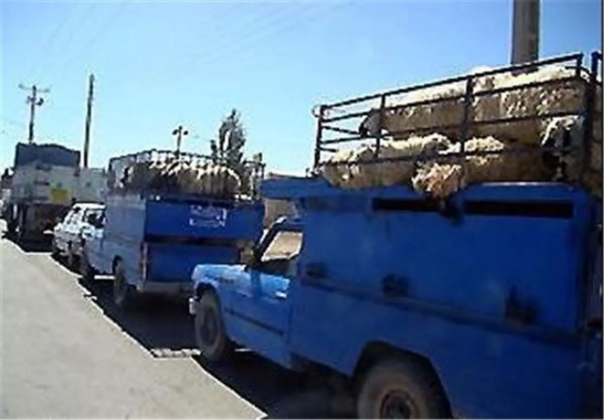۷۰ رأس
احشام
قاچاق در طبس کشف شد