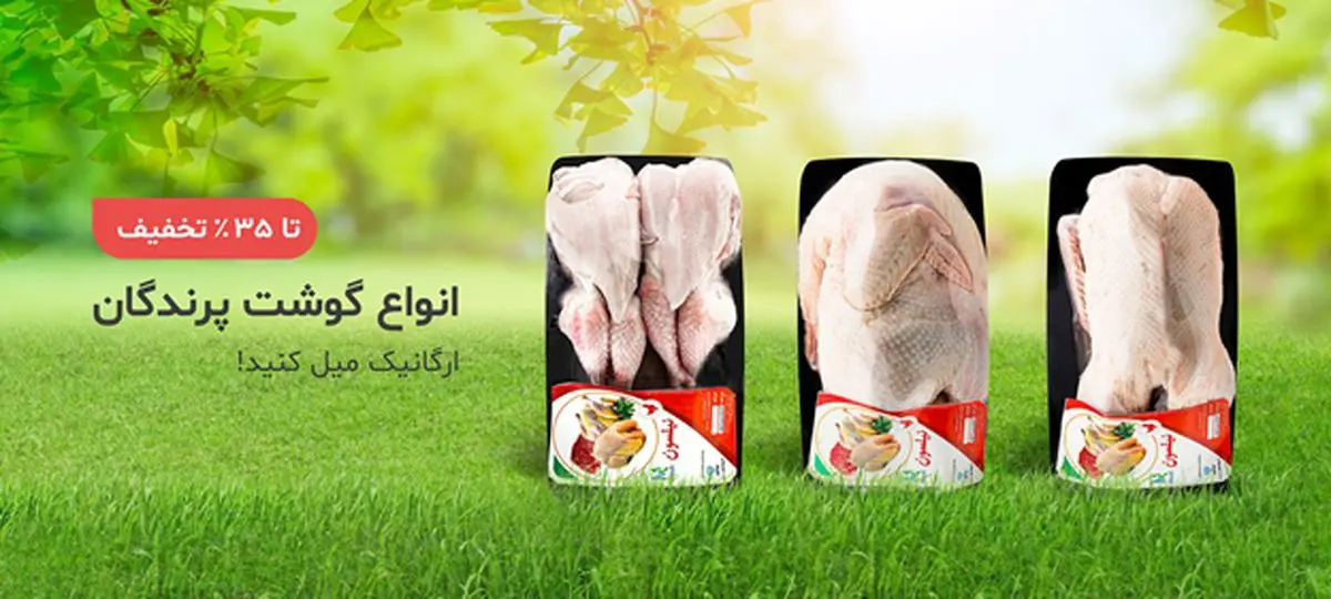خواص گوشت قرقاول چیست؟ آیا می توانیم قرقاول را به جای مرغ مصرف کنیم؟