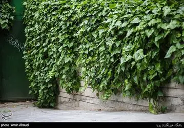 image10