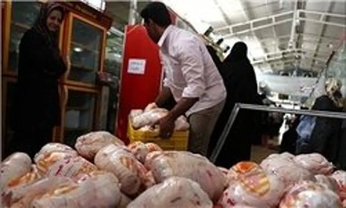 نکاتی که باید هنگام خرید مرغ به آن توجه کنیم