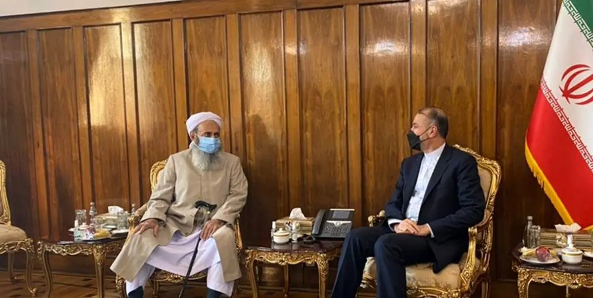 دیدار امام جمعه اهل سنت زاهدان در دیدار با وزیر امور خارجه