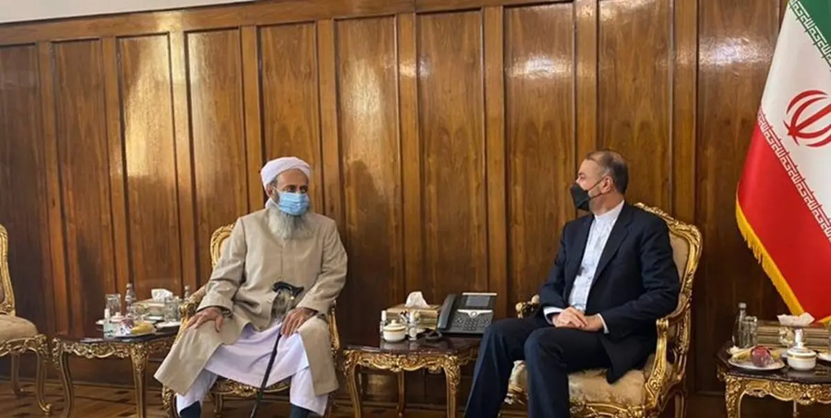 دیدار امام جمعه اهل سنت زاهدان در دیدار با وزیر امور خارجه