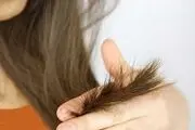 بهترین درمان خانگی موخوره 