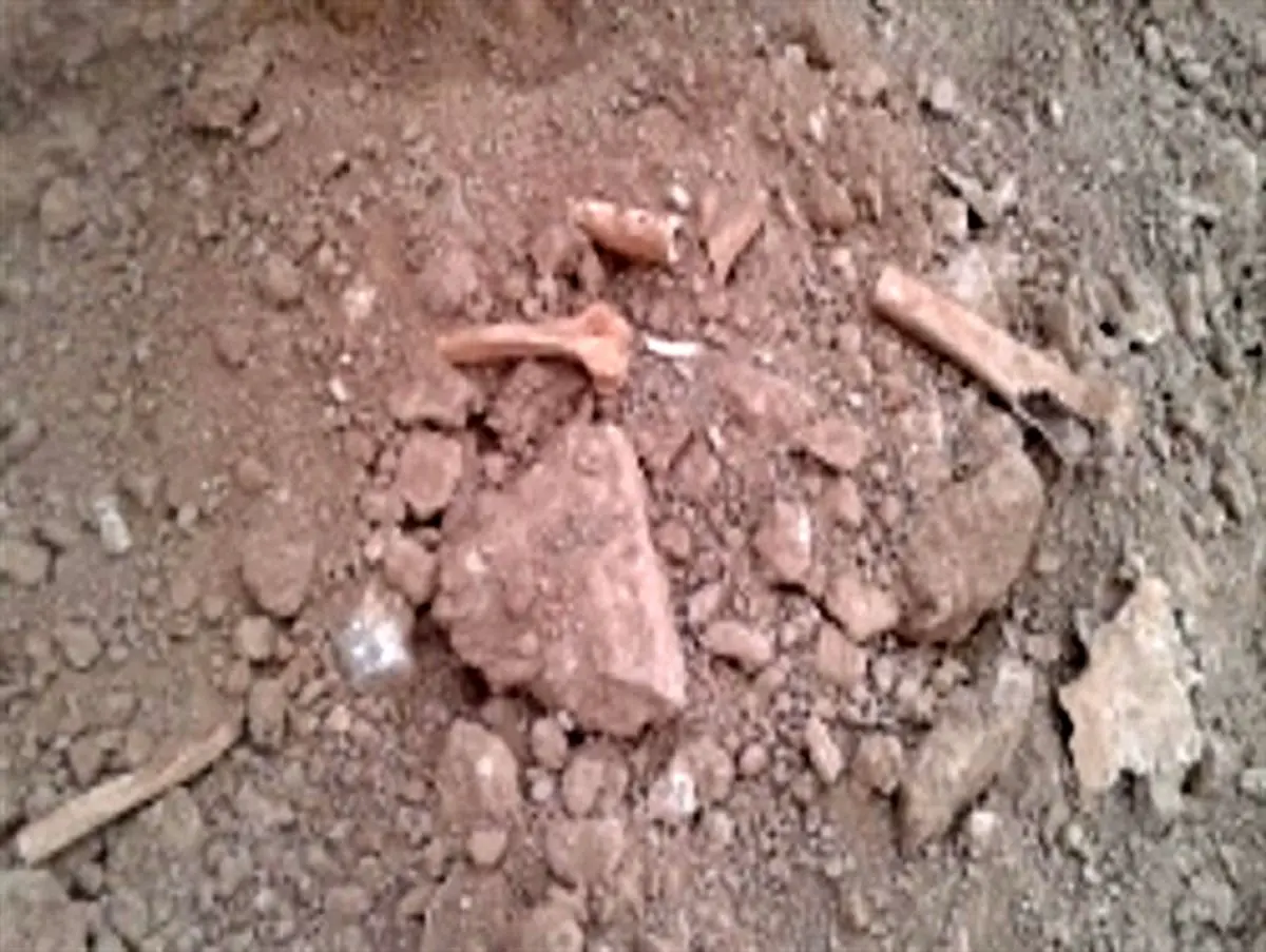 گور دسته جمعی کشف شده در خلخال گور امانتی است