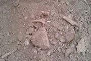 گور دسته جمعی کشف‌ شده در خلخال گور امانتی است