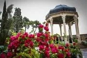 
مراسم افتتاحیه شیراز پایتخت جوانان جهان اسلام برگزار
می‌شود
