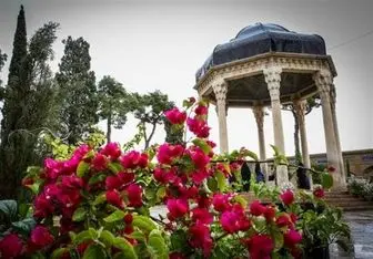 
مراسم افتتاحیه شیراز پایتخت جوانان جهان اسلام برگزار
می‌شود
