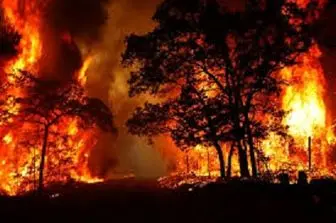  آتش سوزی در جنگل های چهارمحال و بختیاری